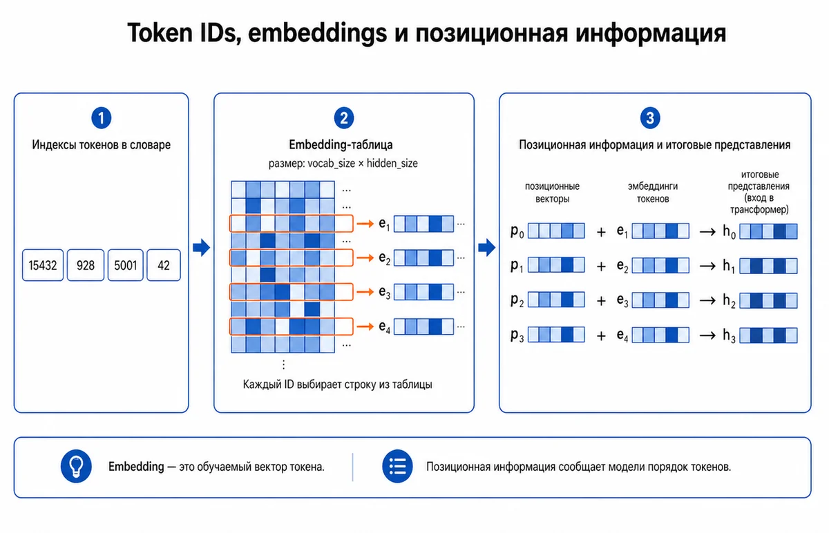 Рисунок 2 - Embedding-таблица: токен ID выбирает строку, а строка становится вектором признаков.
